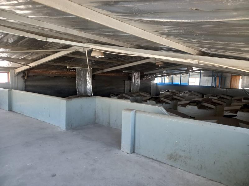 To Let commercial Property for Rent in Perseverance Industrial Eastern Cape
